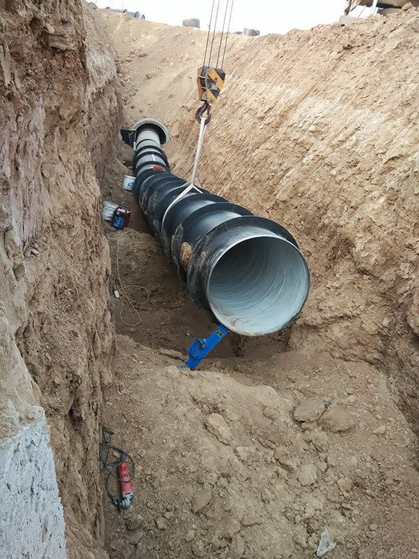 好色先生TV污下载