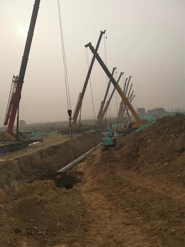 91好色先生视频下载